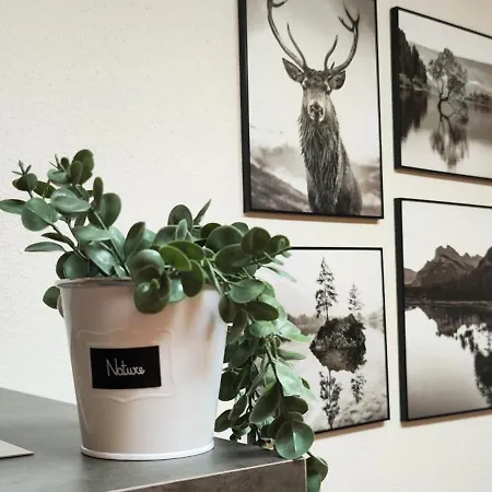 Kavi #5, Pool, Sauna Und Fitness Free, 2-zimmer Apartment *