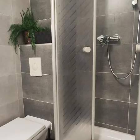 Kavi #5, Pool, Sauna Und Fitness Free, 2-zimmer Sankt Englmar